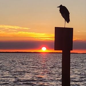 Sunset picture - 12 x 18